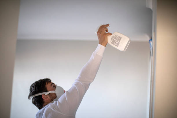 Best Black Mold Remediation in Broomall, PA